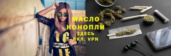 стаф Верея