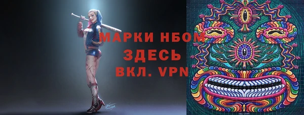 стаф Верея