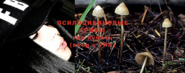 эйфоретик Верхний Тагил